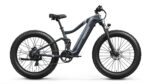Puckipuppy - Boxer Ebike - Image 3