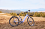 Velotric Breeze 1 Cruiser Ebike - Image 26