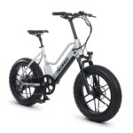 Pedego - Element: Platinum Edition