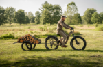 Velotric Nomad 2X Full Suspension Fat Tire Ebike - Image 35