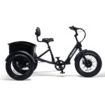 Pedego - Fat Tire Trike - Image 2