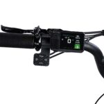 Pedego - Fat Tire Trike - Image 6