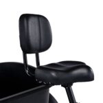 Pedego - Fat Tire Trike - Image 5