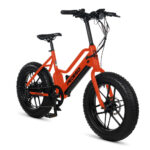 Pedego - Element - 2025 - Image 10