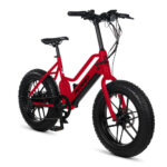Pedego - Element - 2025 - Image 11