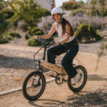 Lectric ebikes - XP Lite2 Sandstorm Long-Range eBike - Image 4