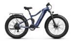Puckipuppy - Boxer Ebike - Image 37