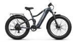 Puckipuppy - Boxer Ebike - Image 35