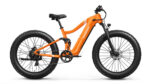 Puckipuppy - Boxer Ebike - Image 26