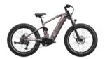 Mokwheel - Onyx Ebike - Image 12