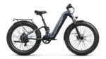 Puckipuppy - Boxer ST Ebike - Image 33