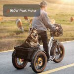 Puckipuppy - Alaskan Etrike - Image 4