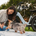 Lectric ebikes - XP Trike2 750 Glacier Blue eTrike - Image 7