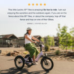 Lectric ebikes - XP Trike2 750 Lavender Haze eTrike - Image 9