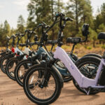 Lectric ebikes - XP Trike2 750 Lavender Haze eTrike - Image 6