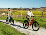 Velotric Discover 3 Ebike - Image 25