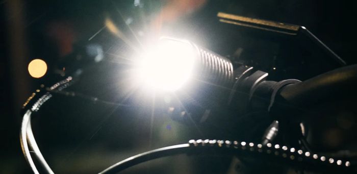 Electric E Bikes (2)