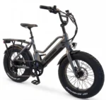 Pedego - Element Core